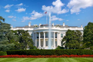 The White House in Washington DC