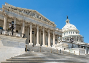 The US House of Representatives at the Capitol building in Washington D.C.